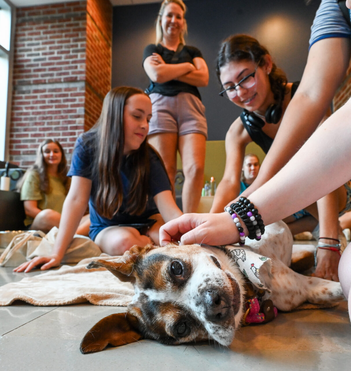 Therapy dog Lizzie visits students Tuesday, Aug. 22, 2023 in the library.