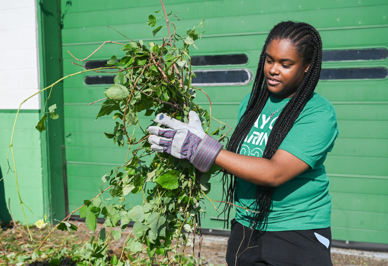 Students work Friday, Sept. 22, 2023 at Hixson Middle School and the Chattanooga Zoo as part of Day of Caring.