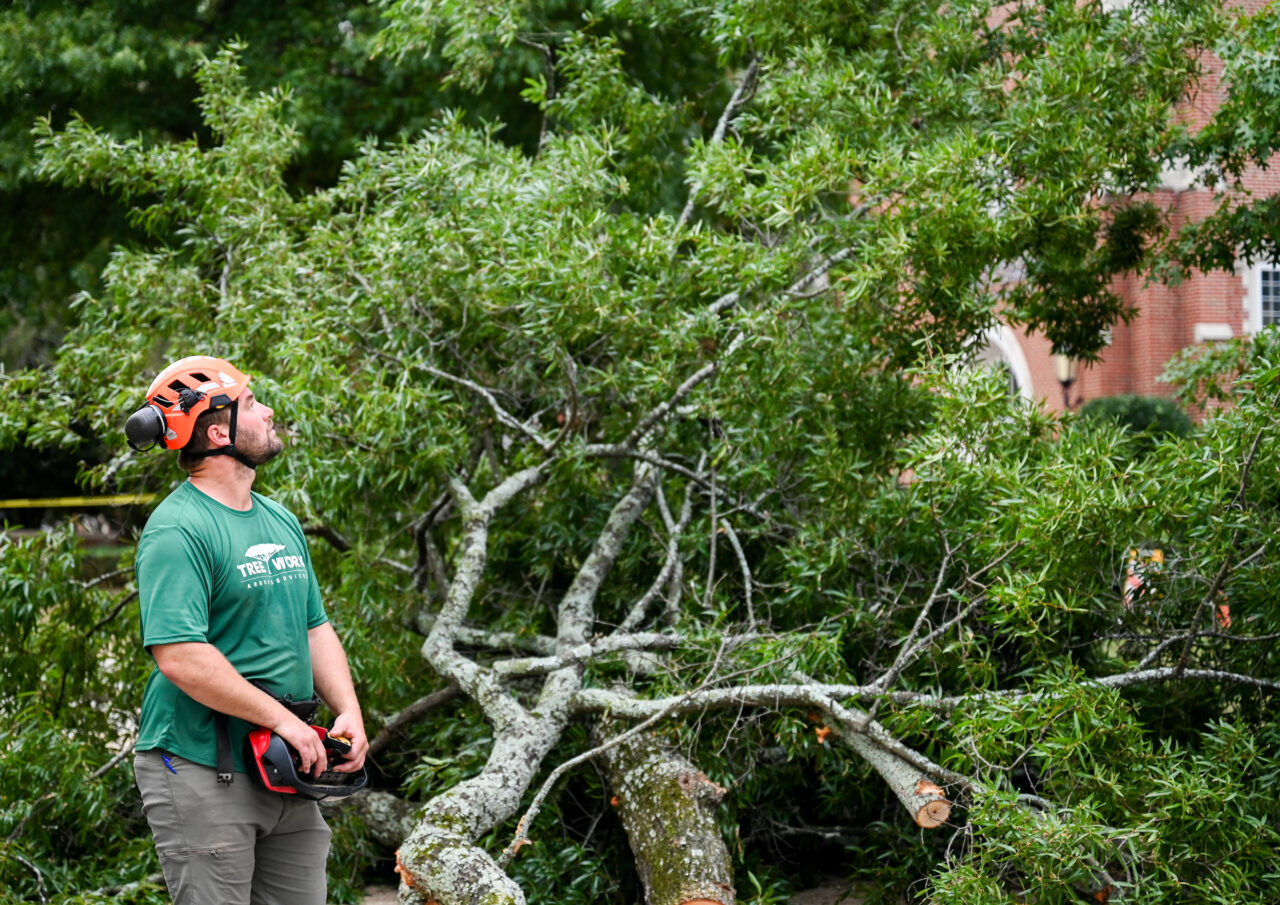 Hannes de Wet, owner of Tree Worx, supervises limb removal Thursday, Sept. 7, outside of Fletcher Hall. Photo by Angela Foster.