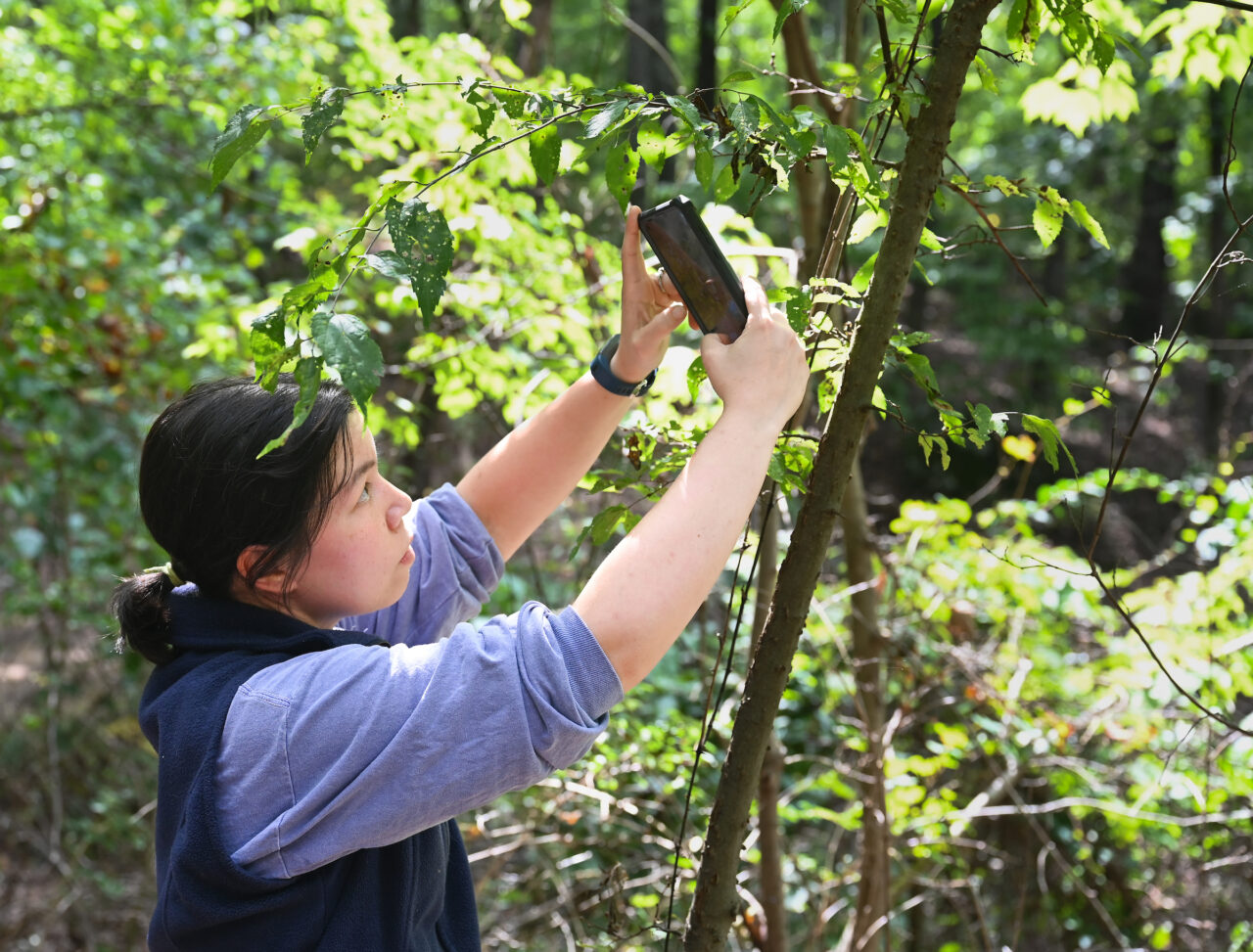 Ecology Lab-23