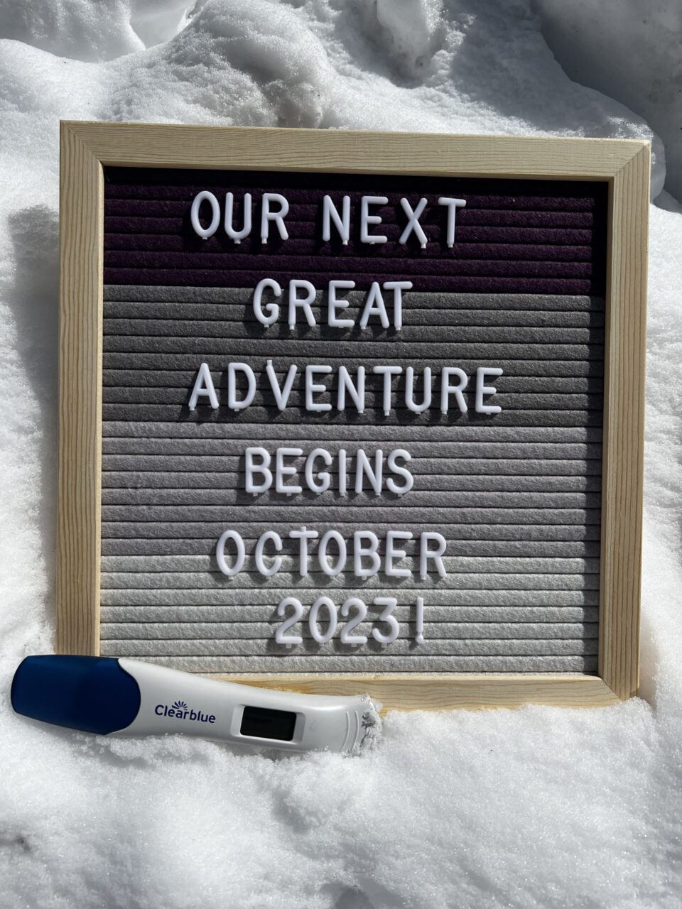 Pregnancy announcement flagstaff Arizona- March 2023
