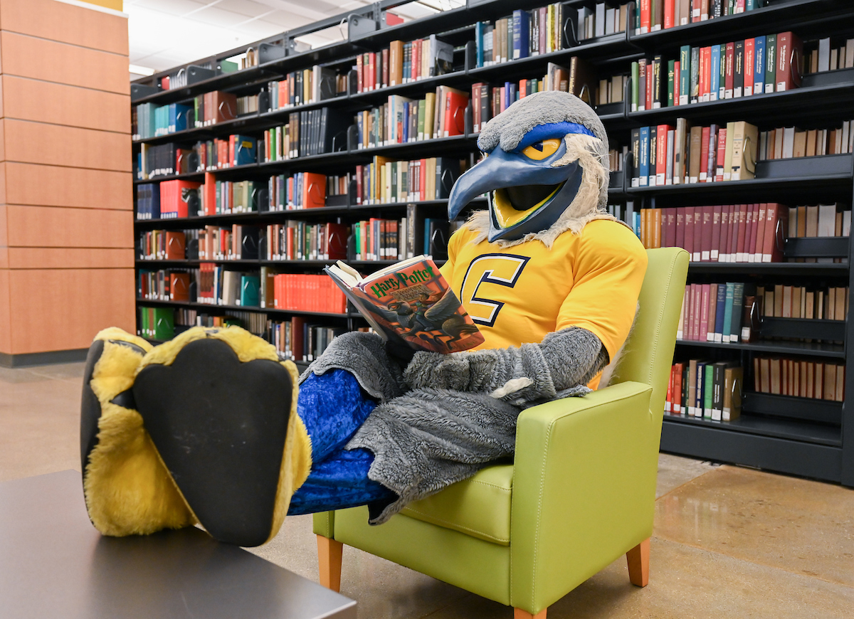 Scrappy Library-24-