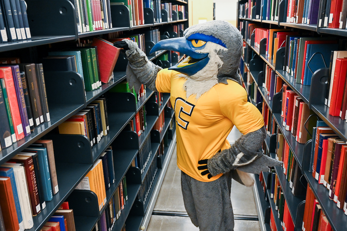 Scrappy Library-24-