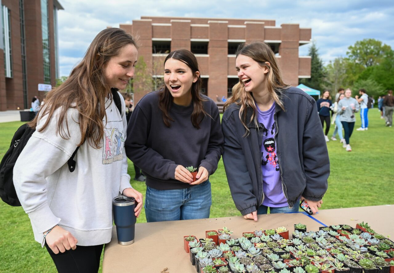Spring Fling-24-750