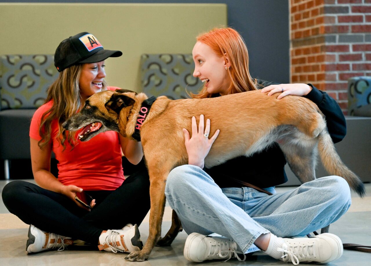 Therapy Dog-24-1092