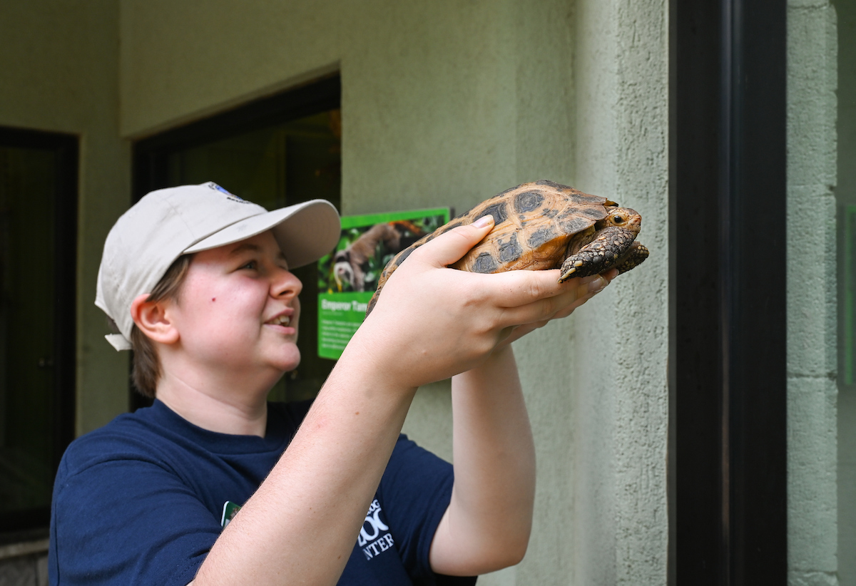 UTC environmental science major Bliss Murphy has been working at the Chattanooga Zoo since summer 2023. Photo by Angela Foster.