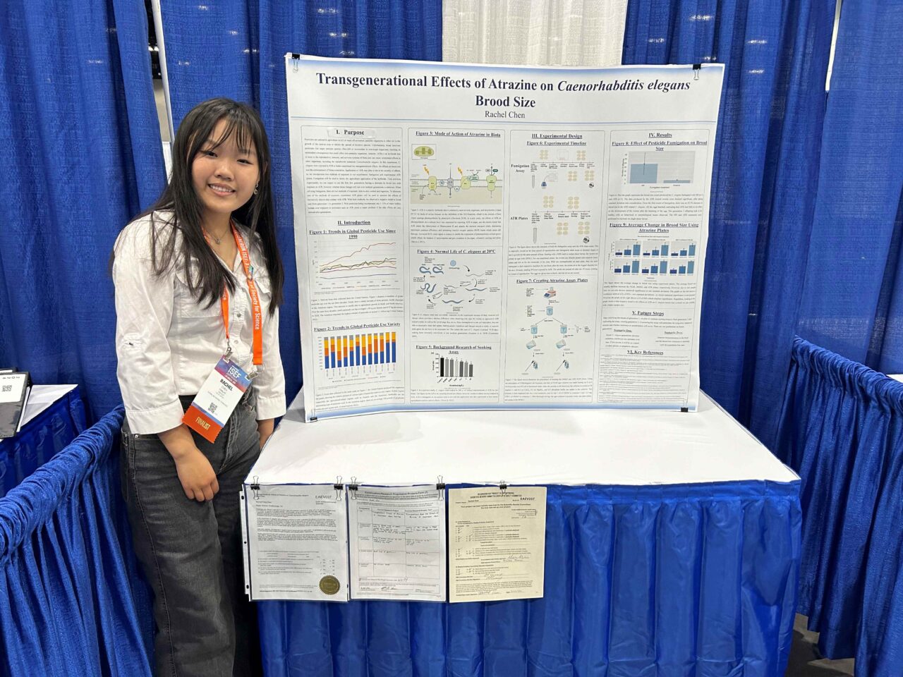 May 2024 Baylor School graduate Rachel Chen was one of the Senior Division winners of the Chattanooga Regional Science and Engineering Fair. Photo by Dr. Stephanie Philipp.