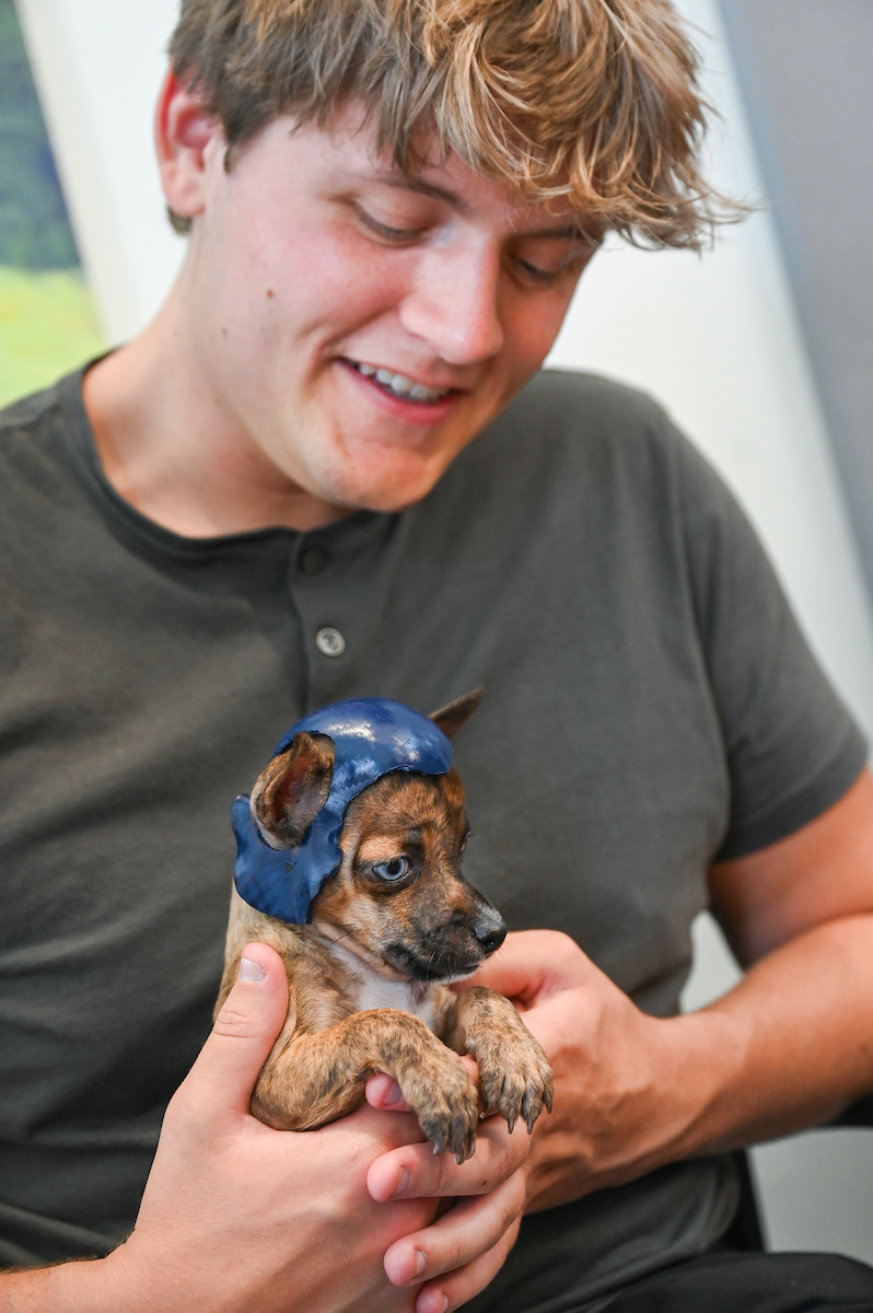Trevor Elliott and Connor Mackey work Monday, July 15, 2024 to try out 3-D printed helmets for a puppy at the Humane Educational Society.