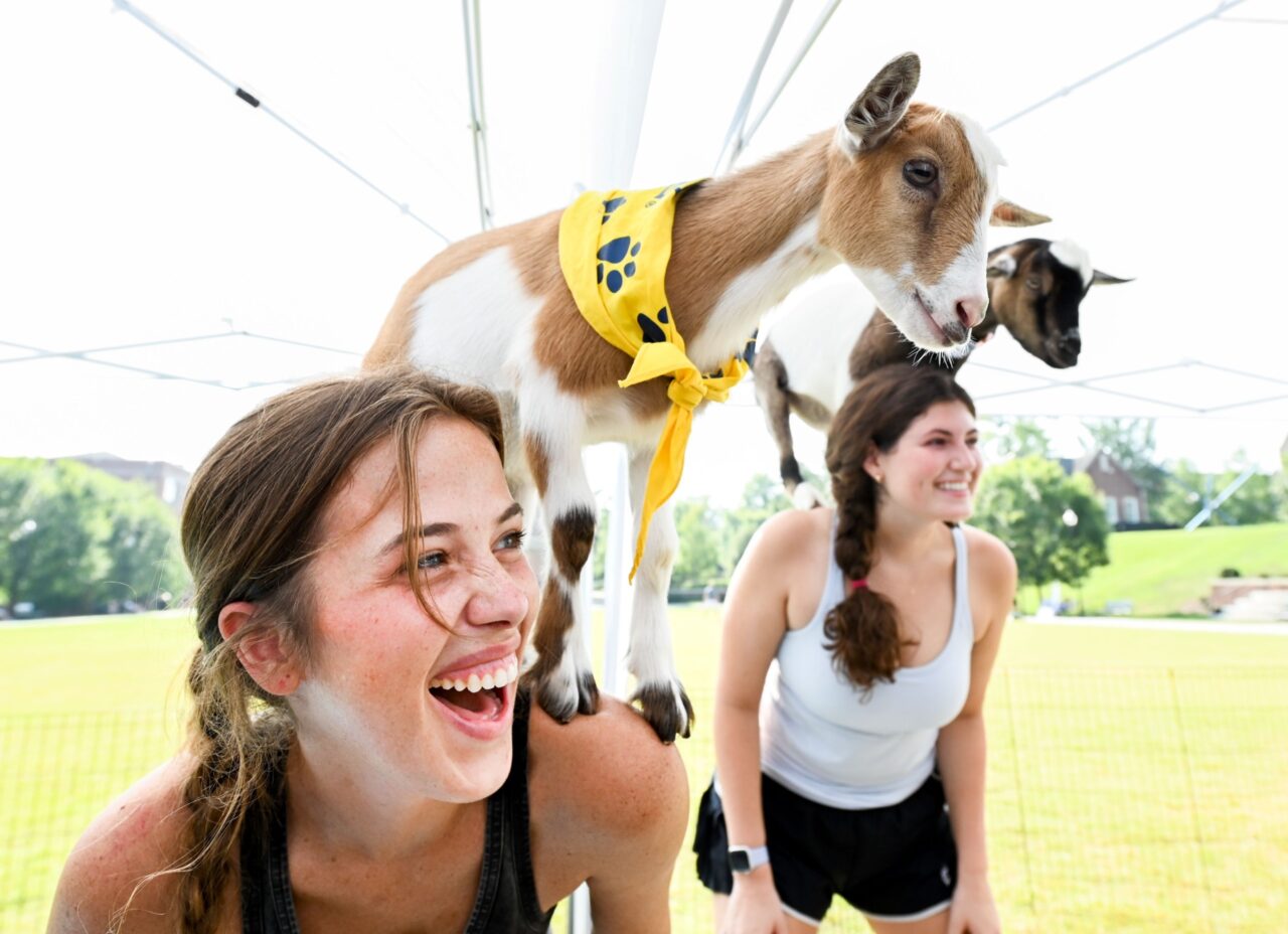 The always popular Goat Yoga event returns to Chamberlain Field on Wednesday, Aug. 21.