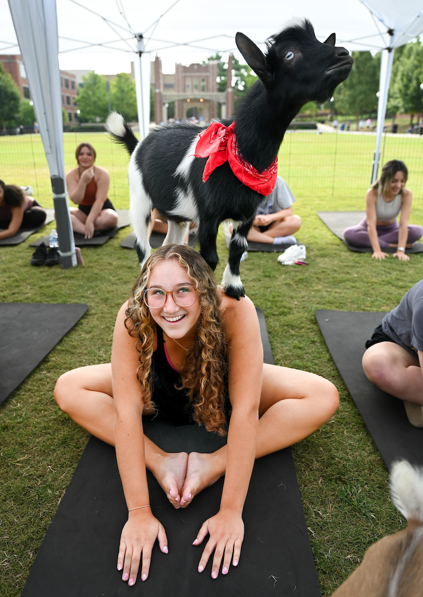 Goat Yoga Welcome Week event, Wednesday, Aug. 21, 2024