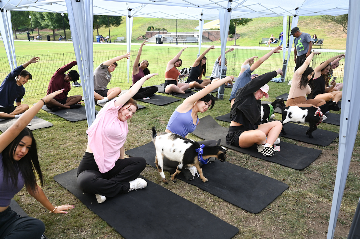 Goat Yoga Welcome Week event, Wednesday, Aug. 21, 2024