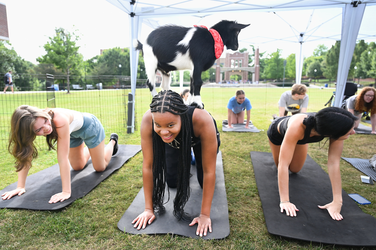 Goat Yoga Welcome Week event, Wednesday, Aug. 21, 2024