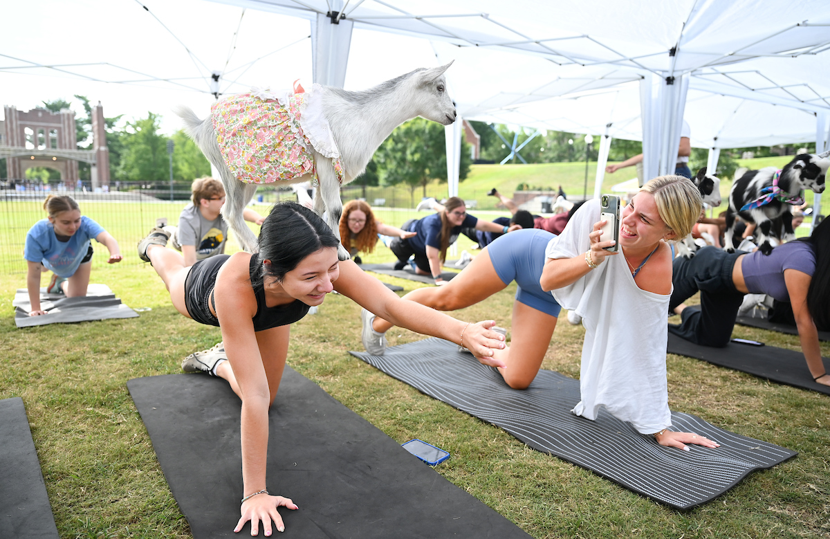 Goat Yoga Welcome Week event, Wednesday, Aug. 21, 2024