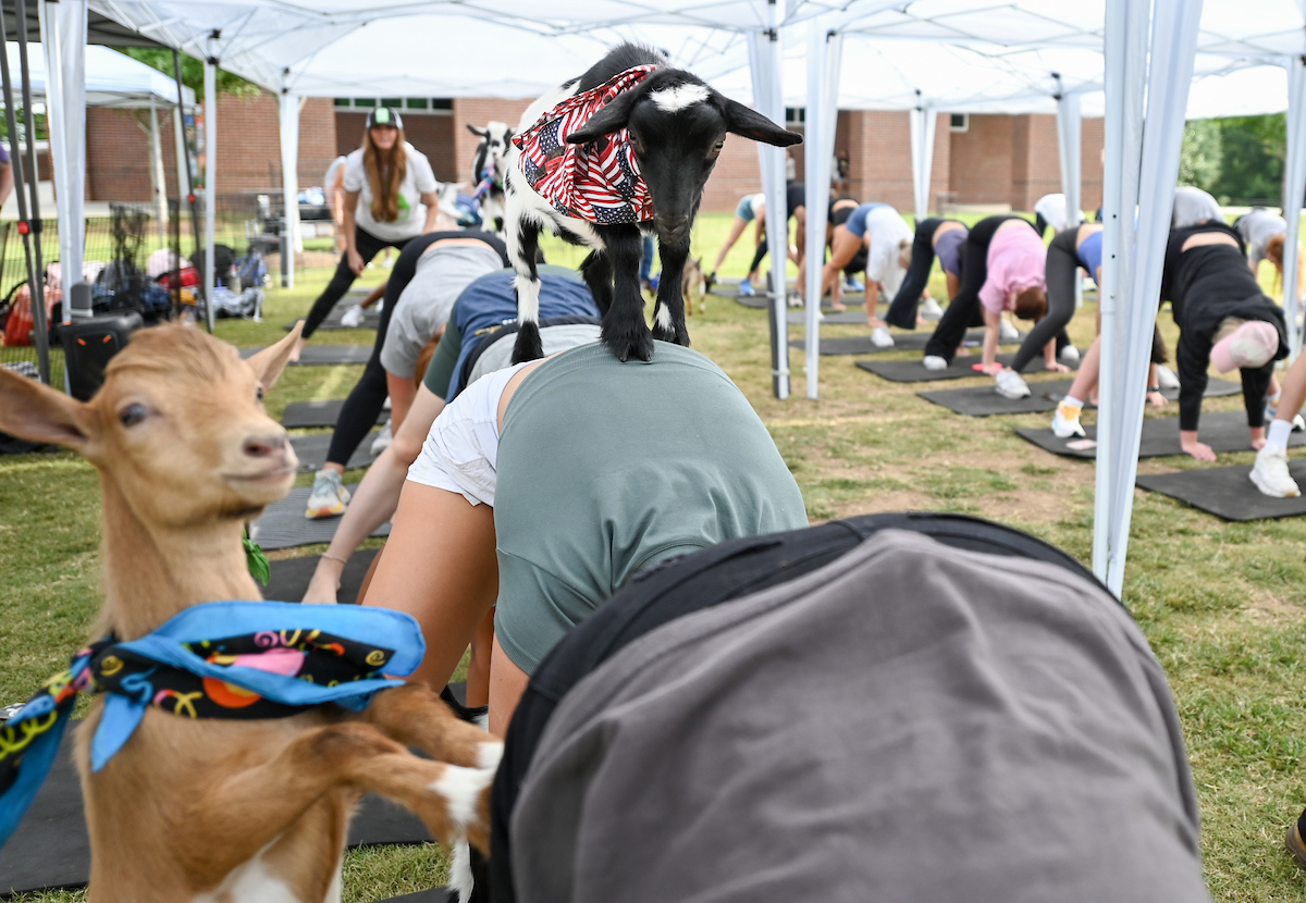 Goat Yoga Welcome Week event, Wednesday, Aug. 21, 2024
