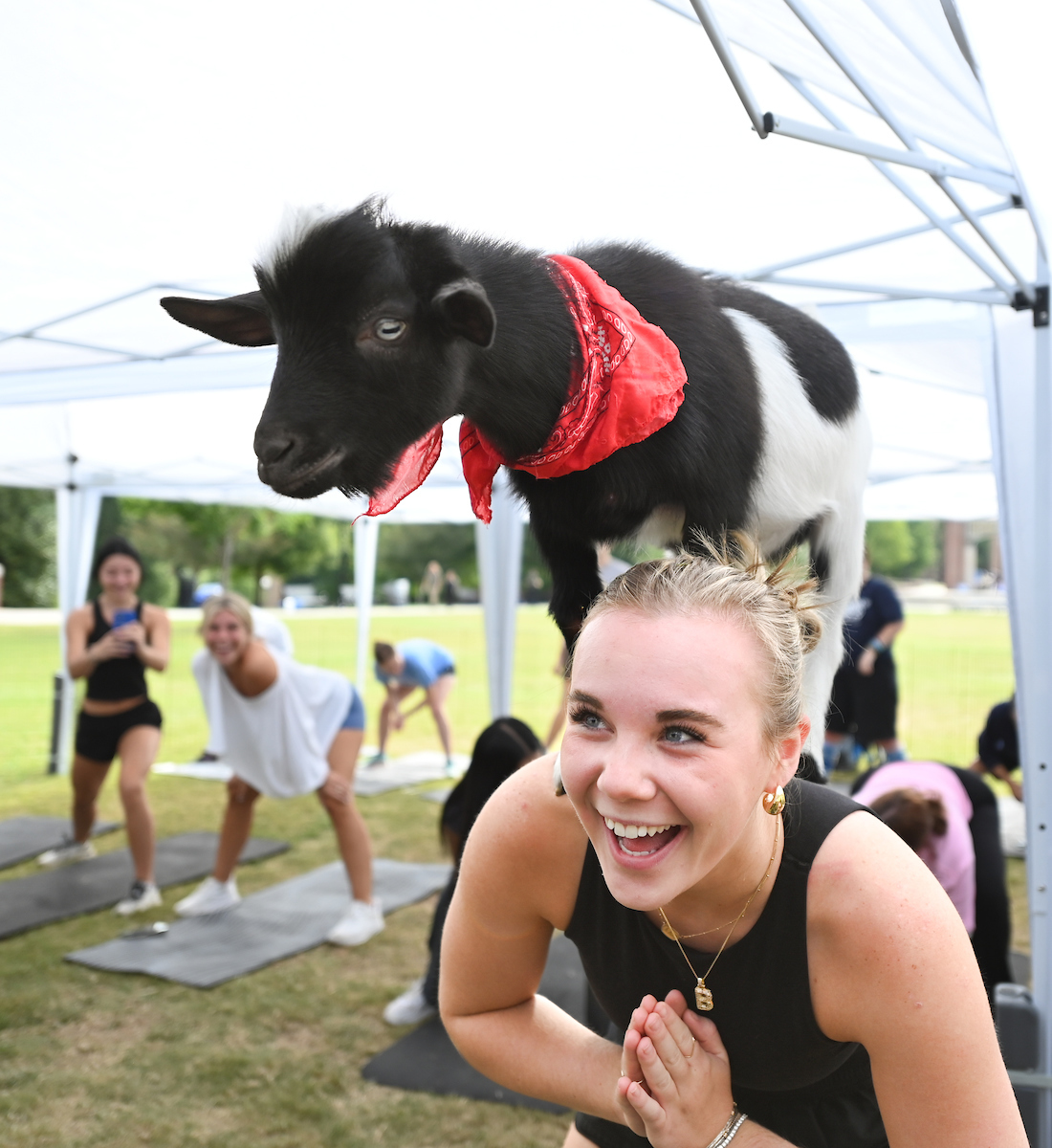 Goat Yoga Welcome Week event, Wednesday, Aug. 21, 2024