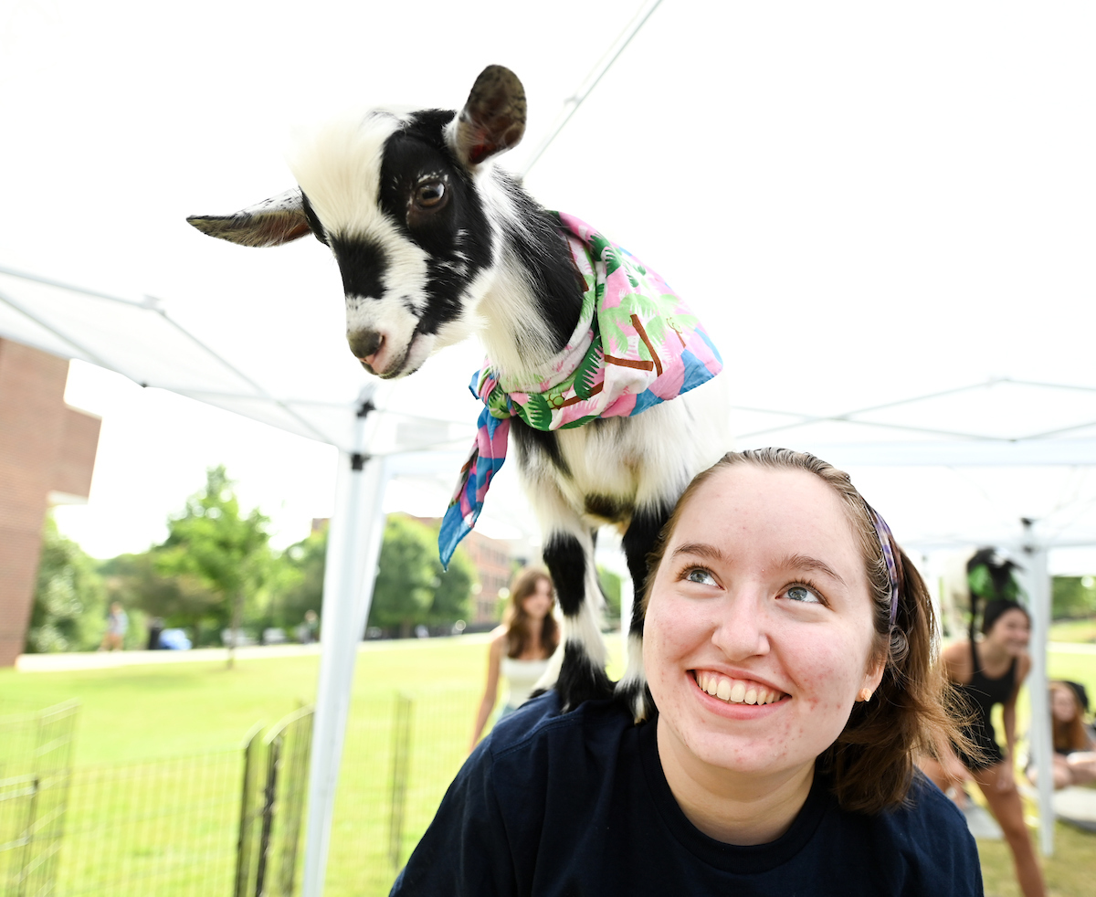 Goat Yoga Welcome Week event, Wednesday, Aug. 21, 2024