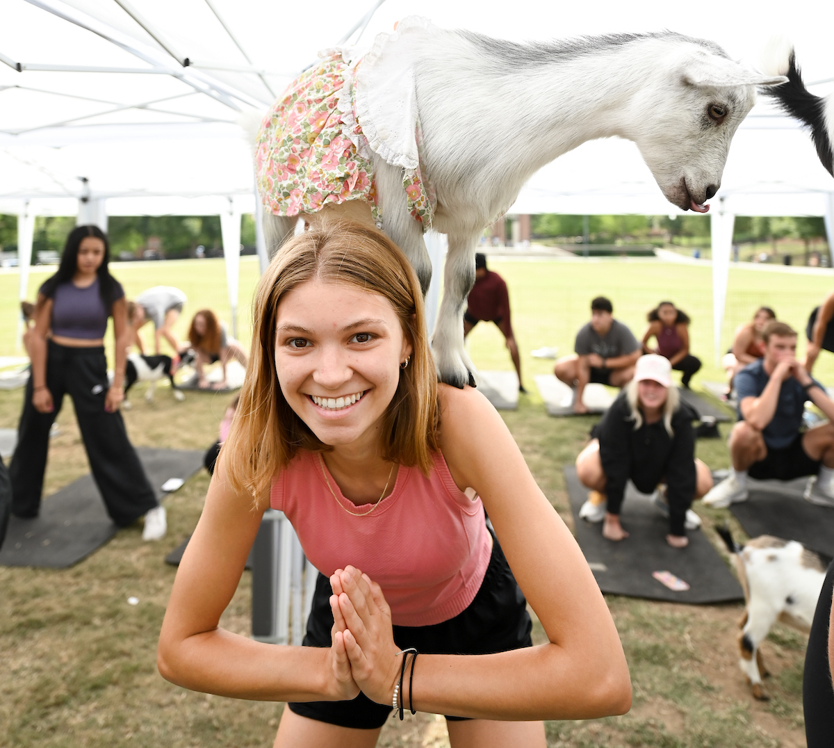 Goat Yoga Welcome Week event, Wednesday, Aug. 21, 2024