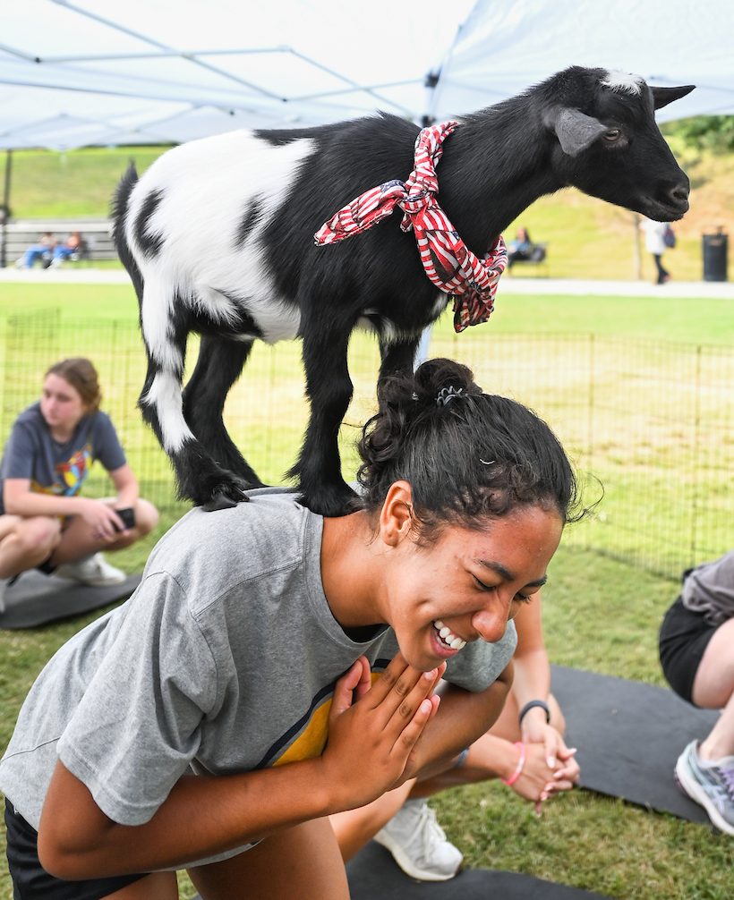 Goat Yoga Welcome Week event, Wednesday, Aug. 21, 2024