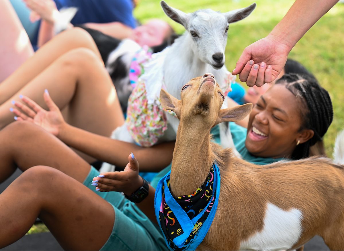 Goat Yoga Welcome Week event, Wednesday, Aug. 21, 2024