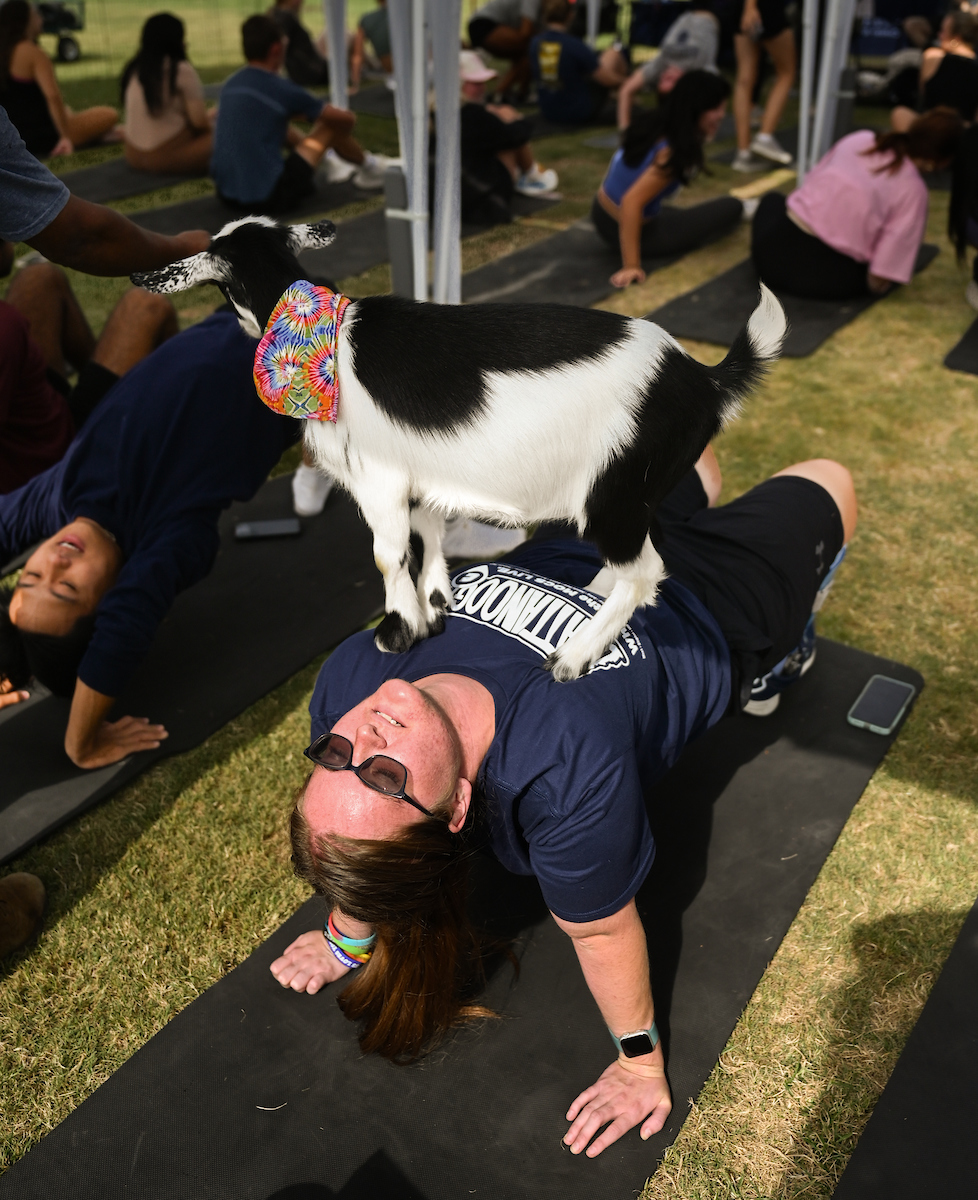 Goat Yoga Welcome Week event, Wednesday, Aug. 21, 2024