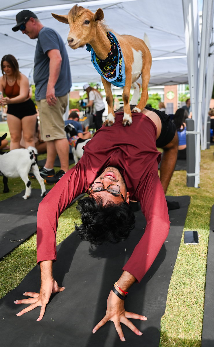 Goat Yoga Welcome Week event, Wednesday, Aug. 21, 2024