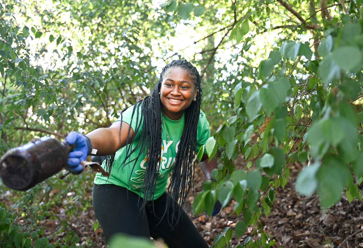 Students work Friday, Sept. 20, 2024 during Day of Service at Normal Park Upper School and the Chattanooga Foundation.