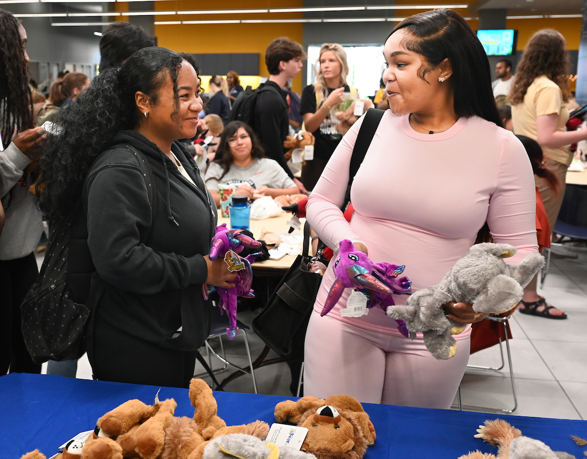Cakes, Balls and Stuff animals, Tuesday, Oct. 22, 2024