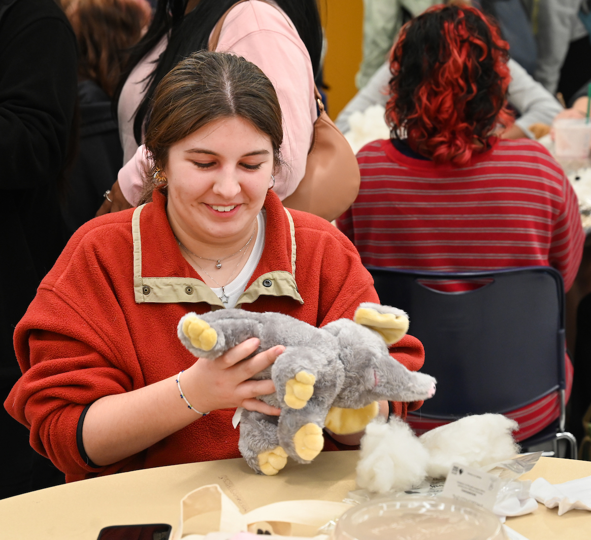 Cakes, Balls and Stuff animals, Tuesday, Oct. 22, 2024