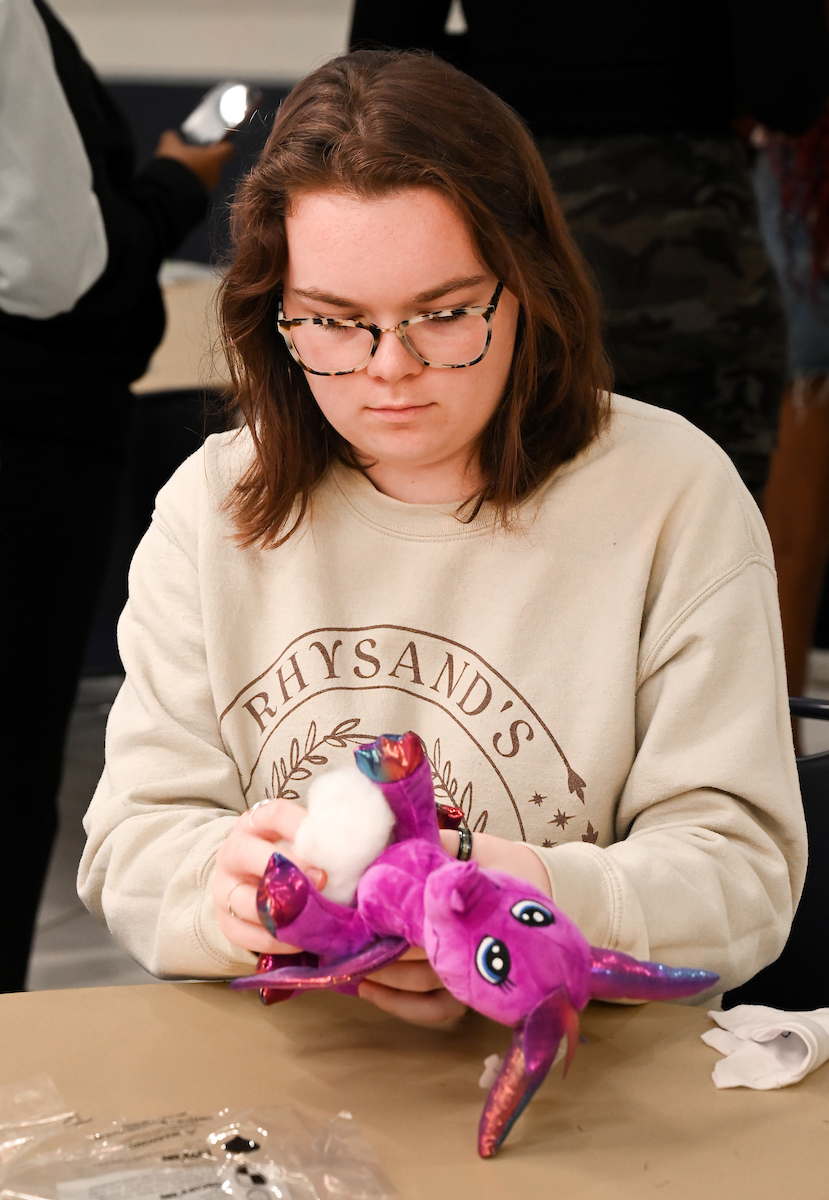 Cakes, Balls and Stuff animals, Tuesday, Oct. 22, 2024