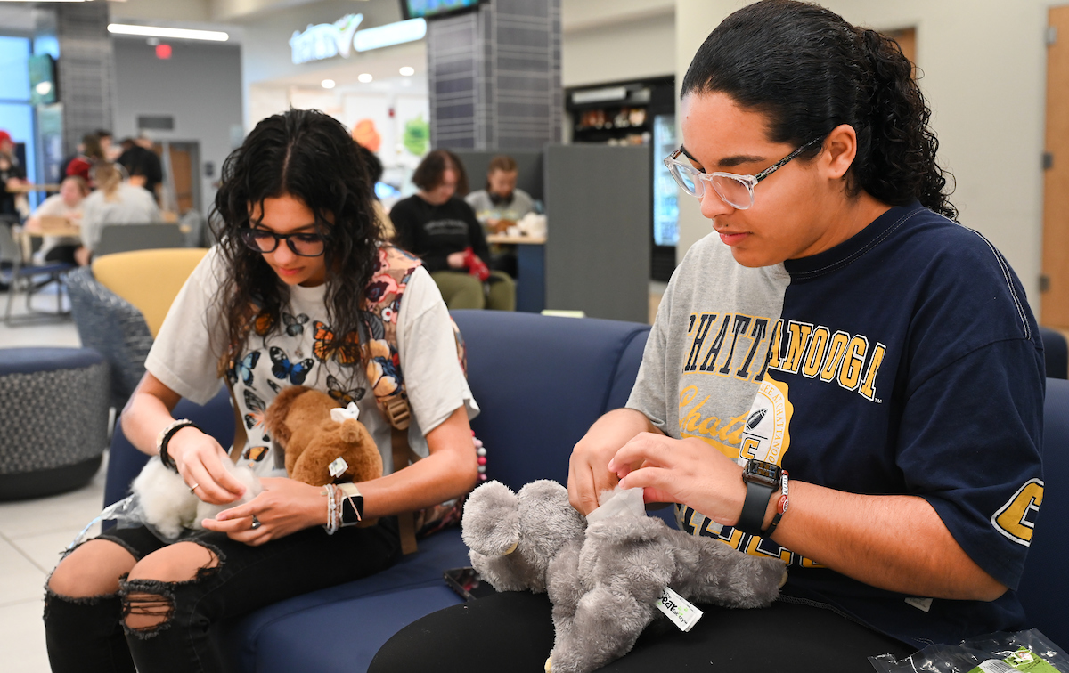 Cakes, Balls and Stuff animals, Tuesday, Oct. 22, 2024