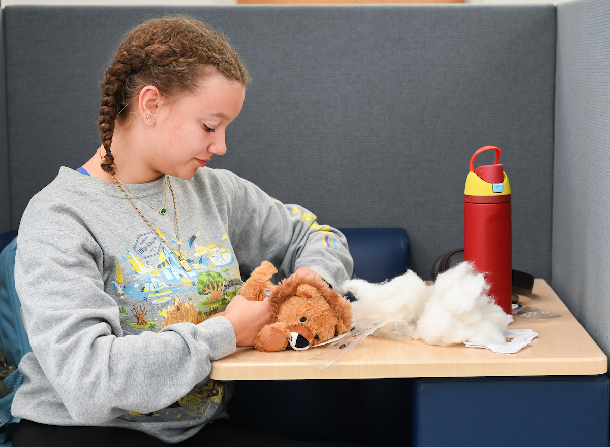 Cakes, Balls and Stuff animals, Tuesday, Oct. 22, 2024