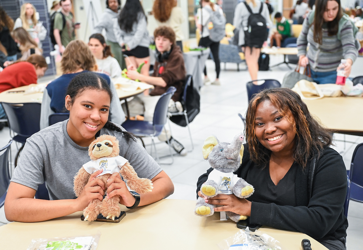Cakes, Balls and Stuff animals, Tuesday, Oct. 22, 2024