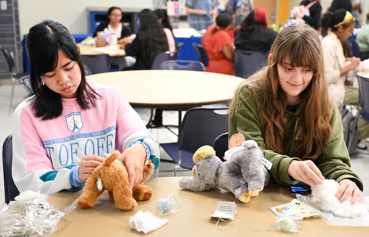 Cakes, Balls and Stuff animals, Tuesday, Oct. 22, 2024