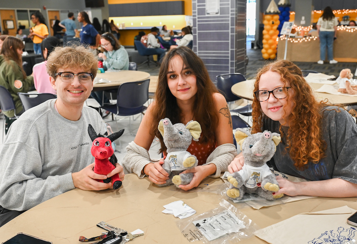 Cakes, Balls and Stuff animals, Tuesday, Oct. 22, 2024