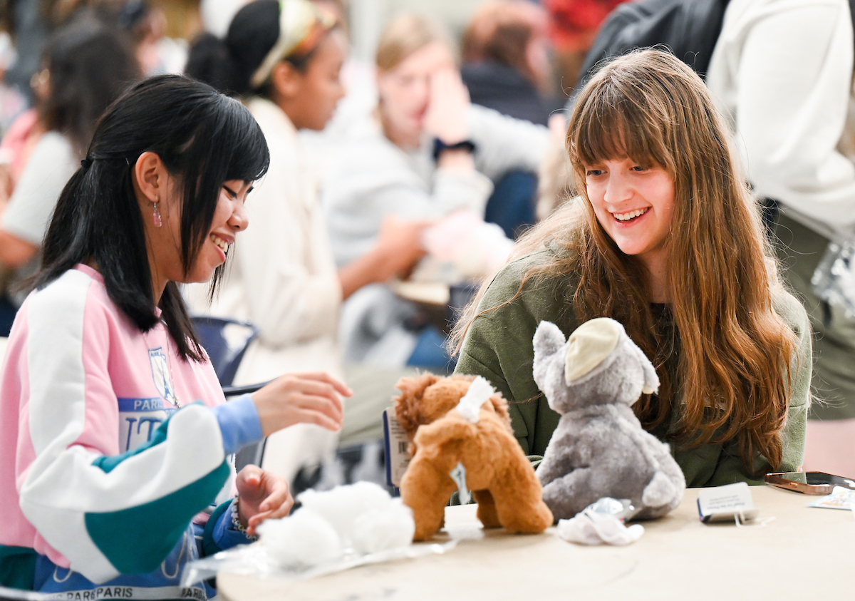 Cakes, Balls and Stuff animals, Tuesday, Oct. 22, 2024