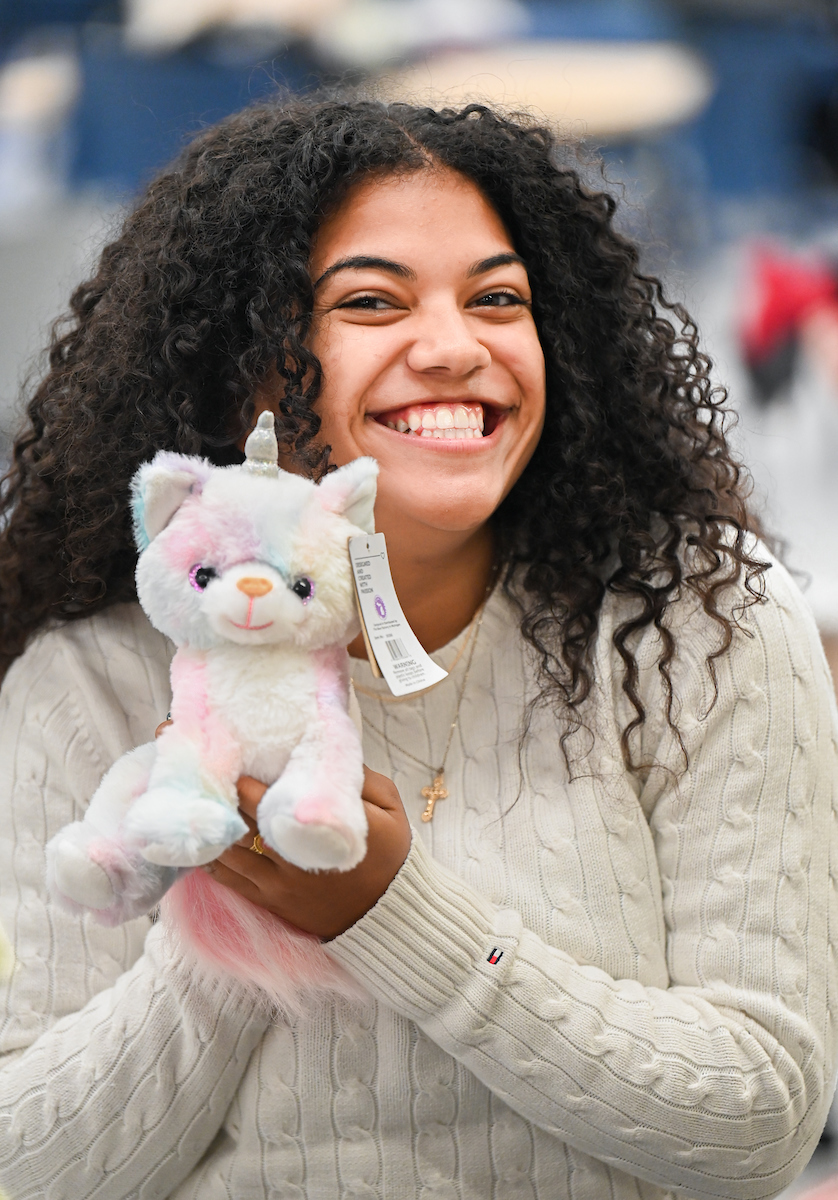 Cakes, Balls and Stuff animals, Tuesday, Oct. 22, 2024