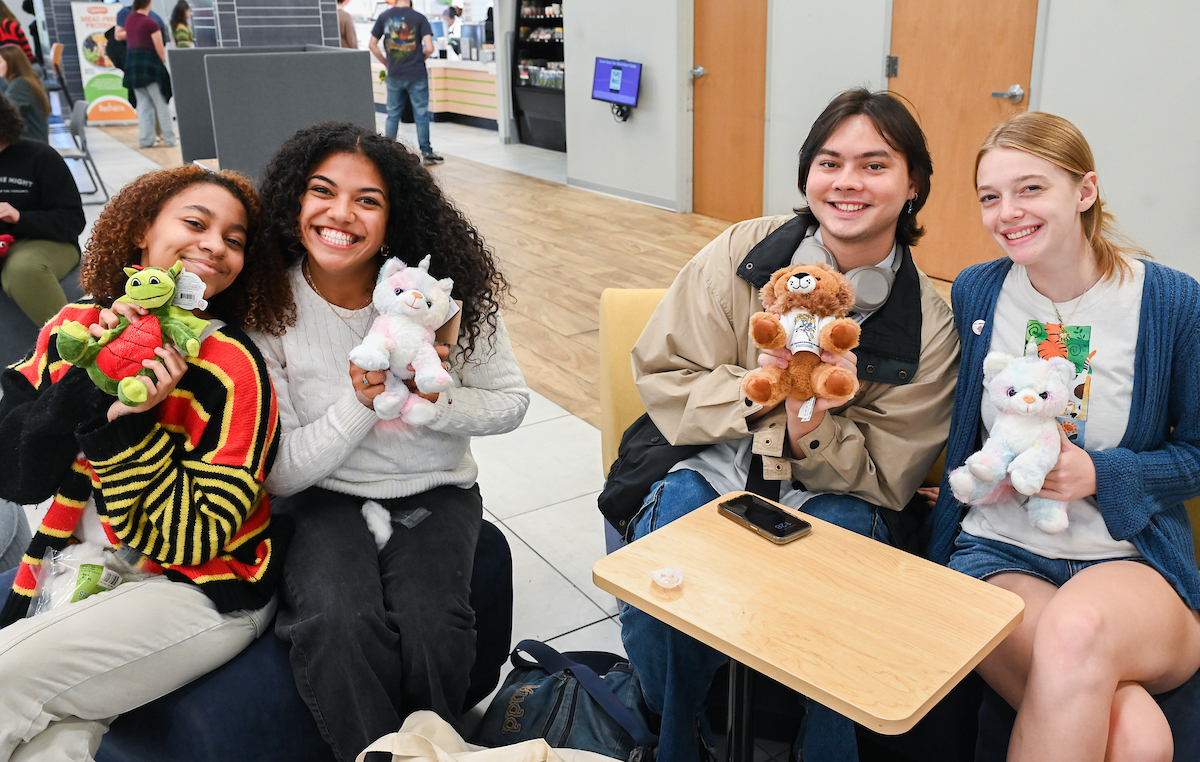 Cakes, Balls and Stuff animals, Tuesday, Oct. 22, 2024