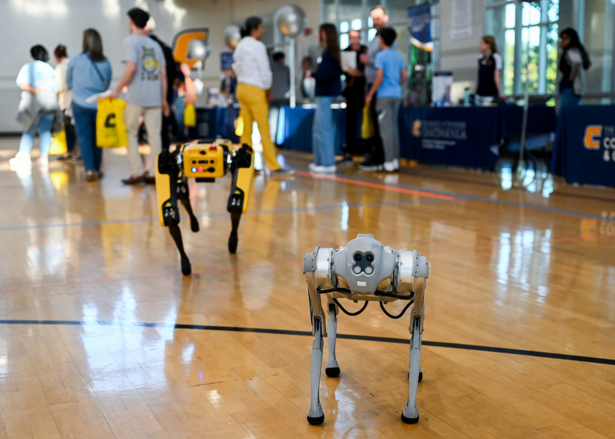 Blue and Gold Preview, Saturday, Nov. 2, 2024 in the ARC.