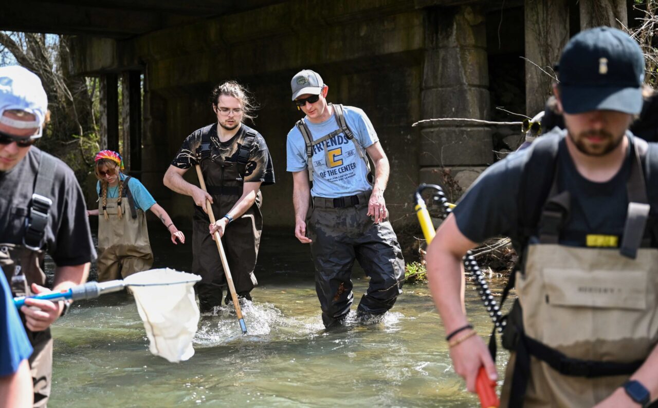 Students in Dr. Rich Walker's ichthyology course deep in research in Falling Water Creek.