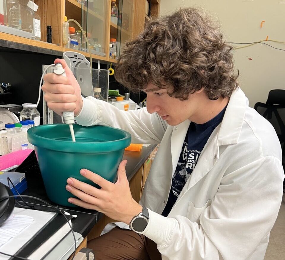 Ben DeWitt is participating in the Integrative Microbial and Plant Systems Research REU at North Carolina State University.