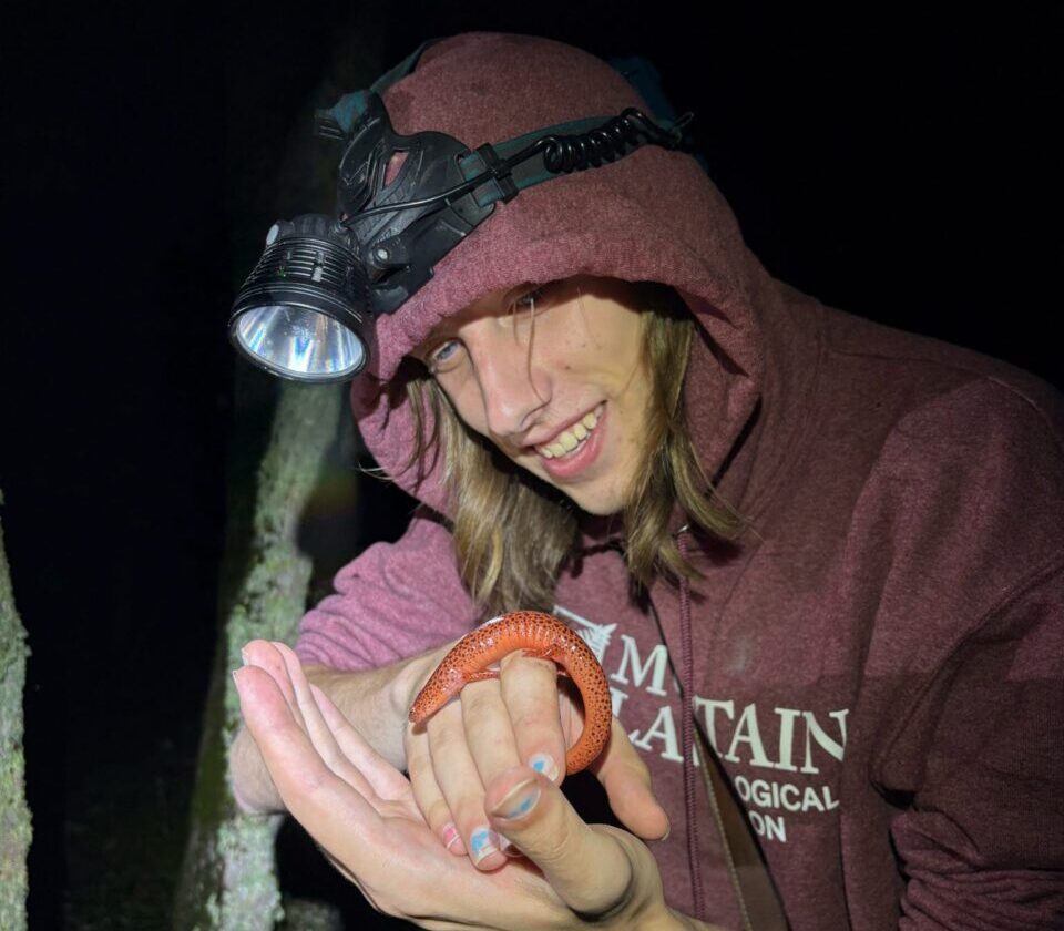 Landon Schuster participated in research on salamanders at University of Virginia’s Mountain Lake Biological Station. Photo courtesy of Landon Schuster.