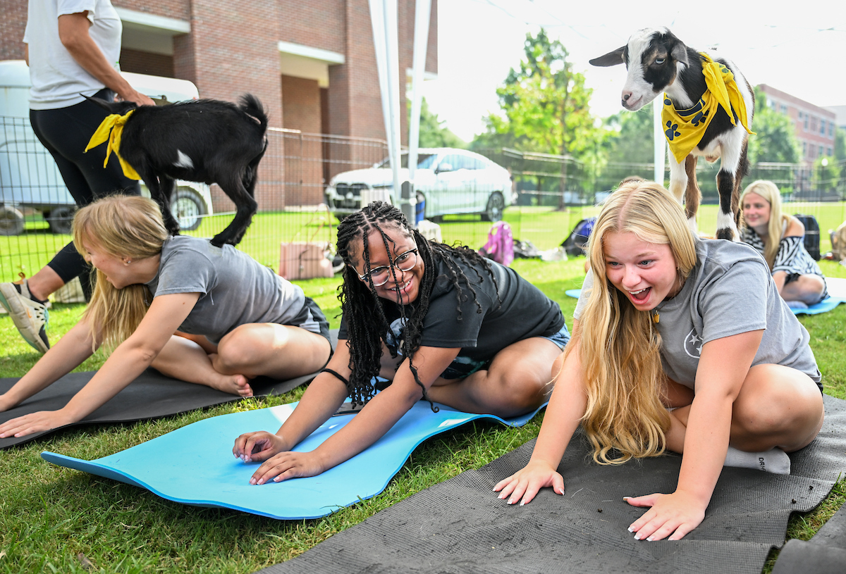 A group of students on yoga mats pose on hands and knees while a goat balances on one participant’s back. Everyone is smiling and laughing during the activity.
