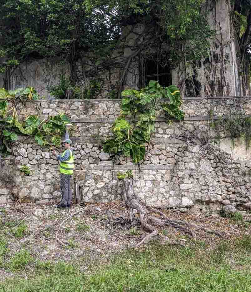Smith wears a yellow vest and stands near an old brick wall.