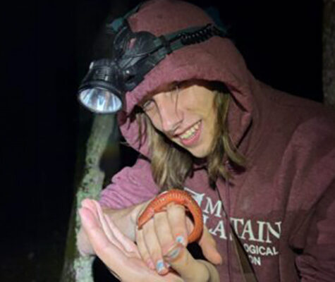 Landon Schuster participates in research on salamanders at University of Virginia’s Mountain Lake Biological Station for the UTC REU program.