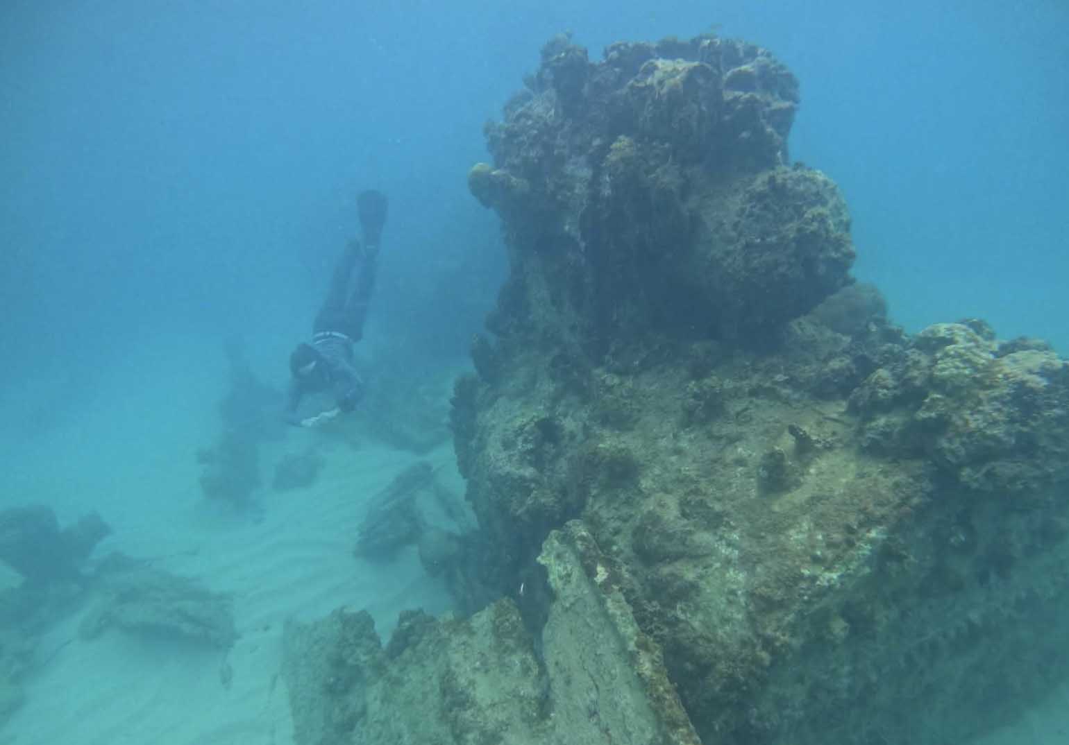 Morgan Smith dives below the water next to a decaying shipwreck.