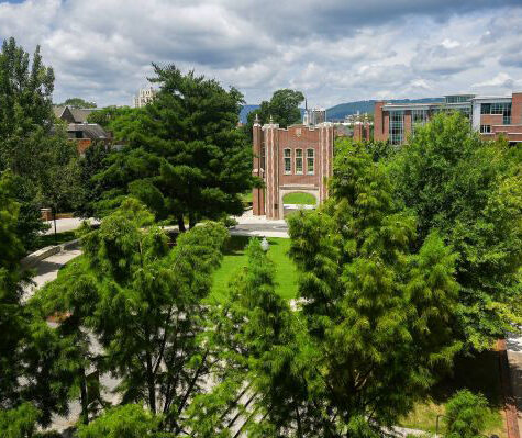 A drone view of Chamberlain Pavilion with trees in the foreground