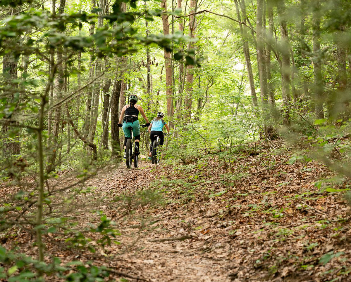 Two bicyclists on a Raccoon Mountain trail bicycling between trees and brush
