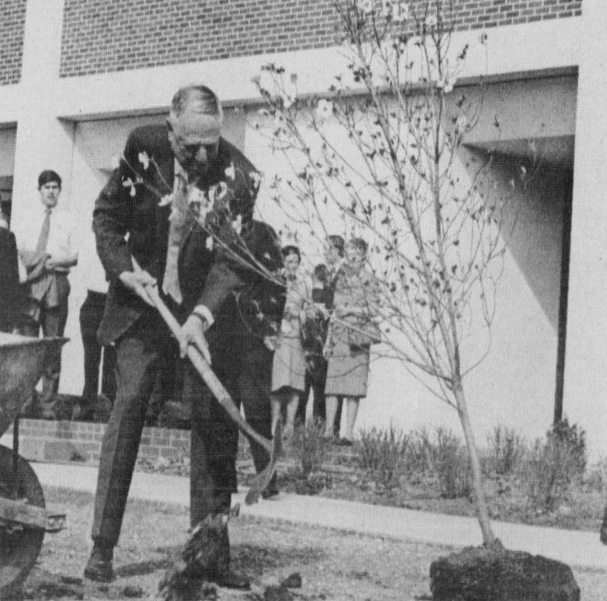 Black-and-white photograph of Irvine Grote planting a dogwood tree outside of Grote Hall as part of the dedicatory ceremonies