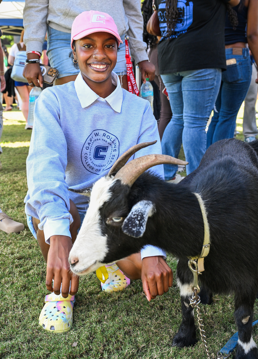 Student in a pink baseball cap and gray College of Business sweatshirt smiling while kneeling next to a black-and-white goat wearing a collar and chain lead.