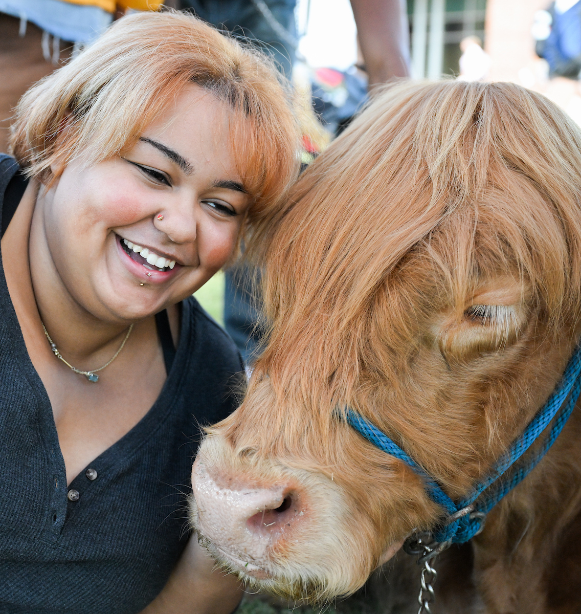 Smiling student with short, light-orange hair leaning close to a small Highland cow with long reddish fur, gently touching its head.